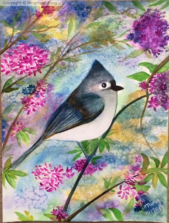 Blue Bird 