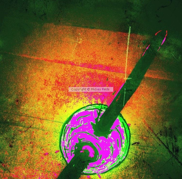 Neon Olive