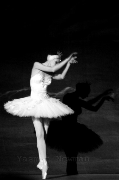 Swan Lake.
