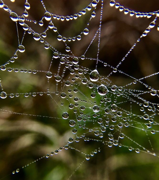 After the rain...