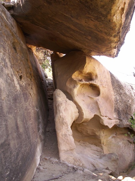Petroglyph Trail