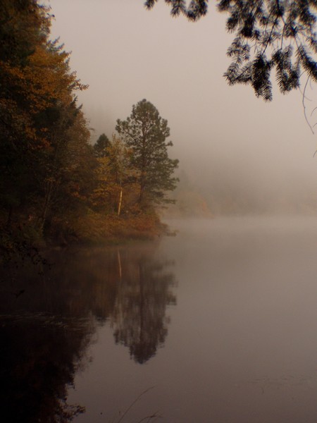 Morning Mist