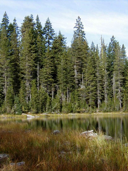 Stoddard Lake