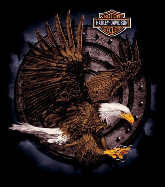 ACTION EAGLE--HARLEY-DAVIDSON