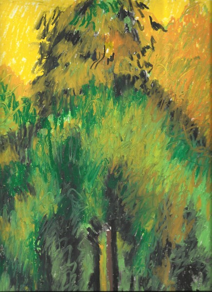weeping willow