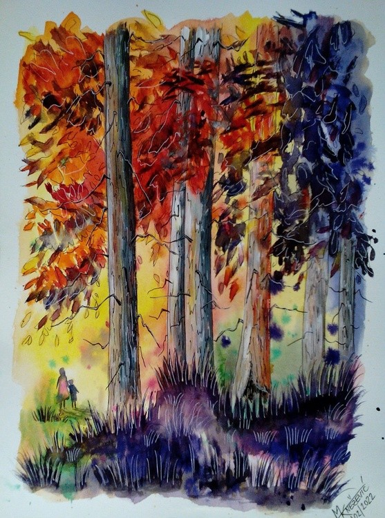 Forest Walk