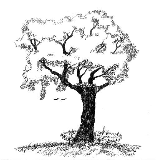 Lone Tree - with a garland