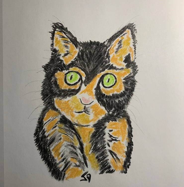 Cat May