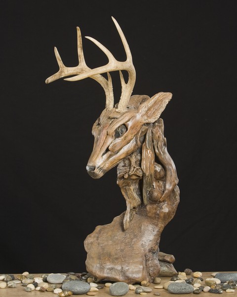 Forest Guardian