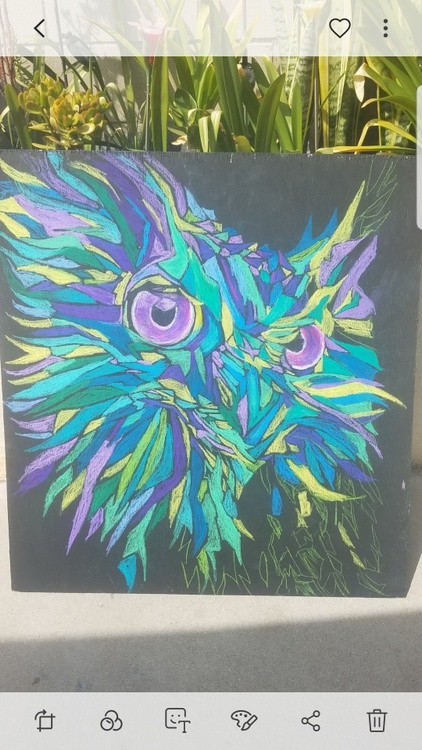 Odesza Owl in cool tones