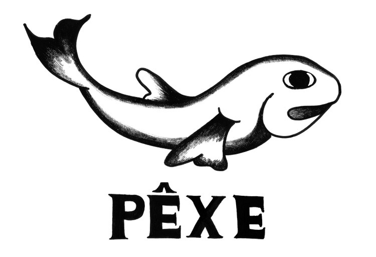 Pexe