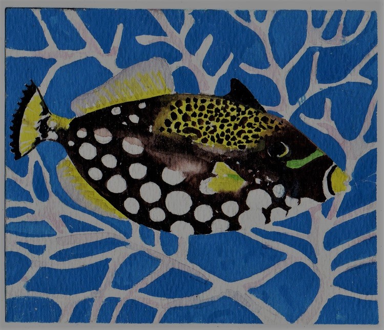 white spotted fish