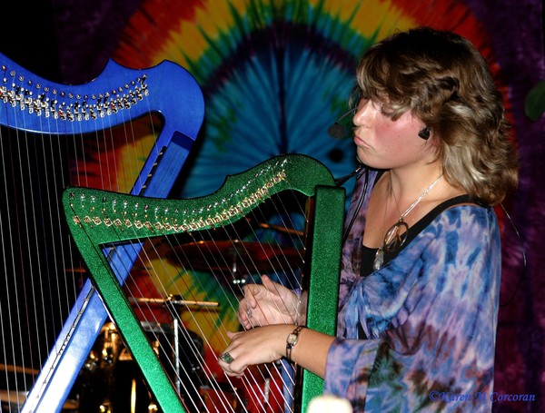 Electric Harp