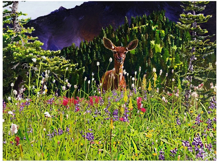 Fawn