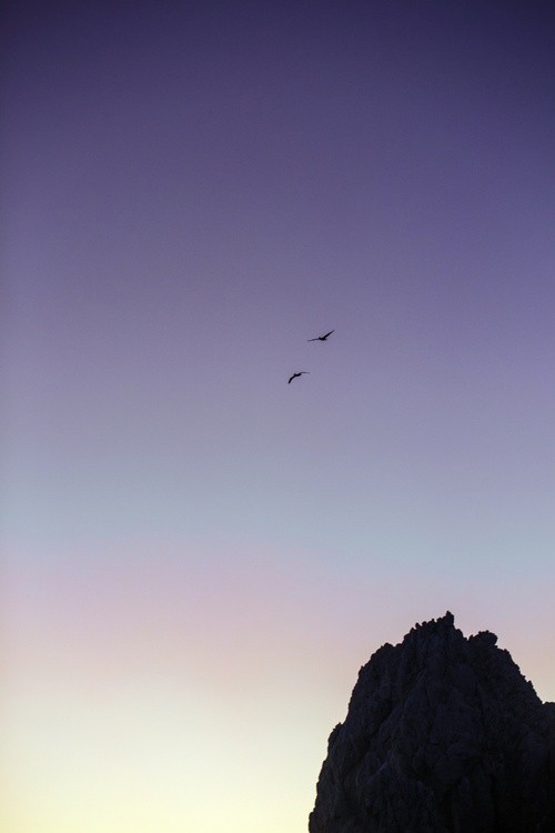 IMG 7867