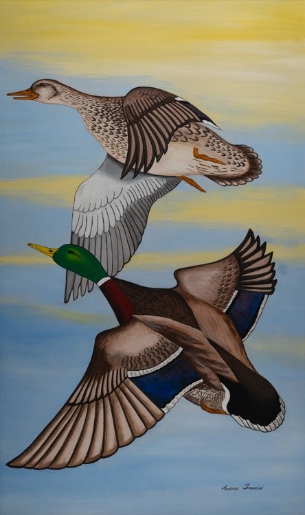 Mallards
