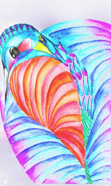 'Kingfish'