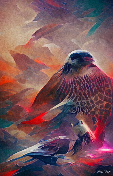 Falco