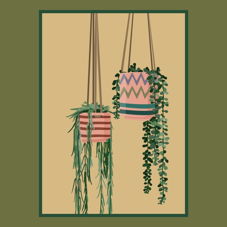 plantz