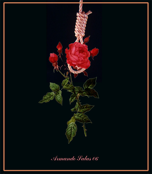 End of innocence