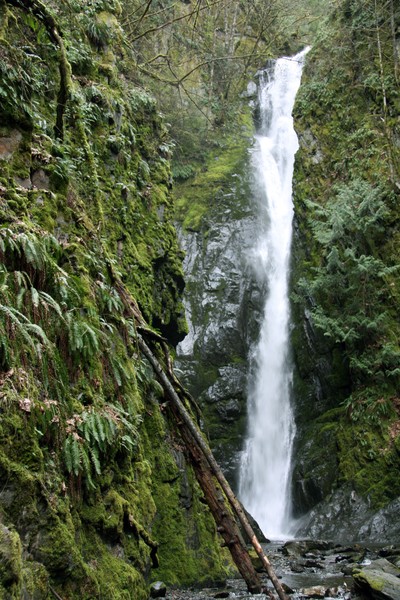 Island Waterfall