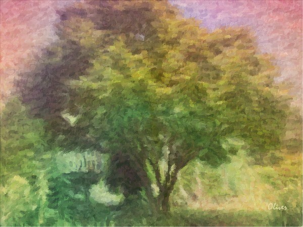 May Afternoon