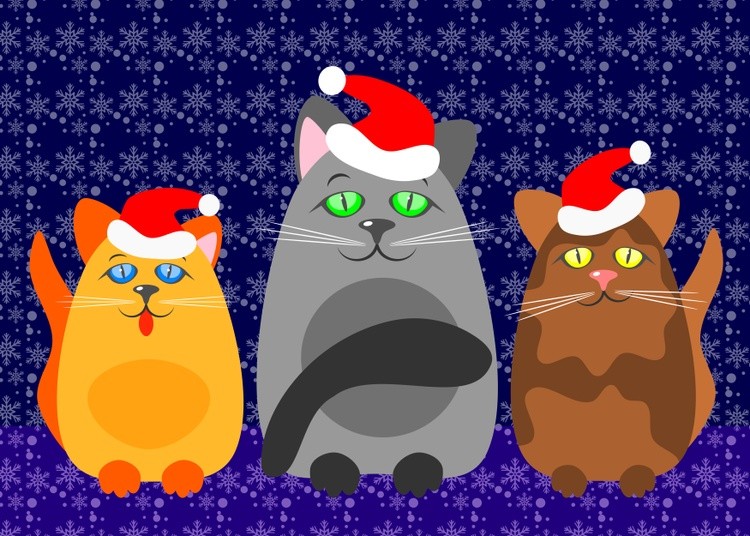 Three cats in Christmas caps on a blue background with snowflakes