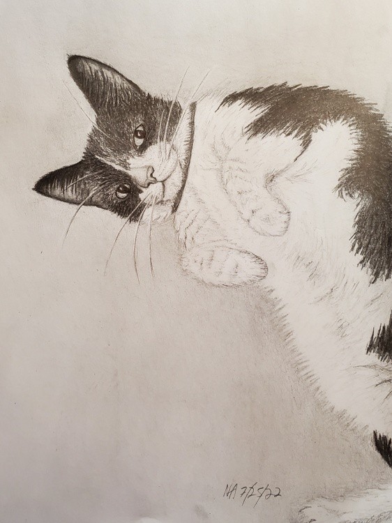 Sox