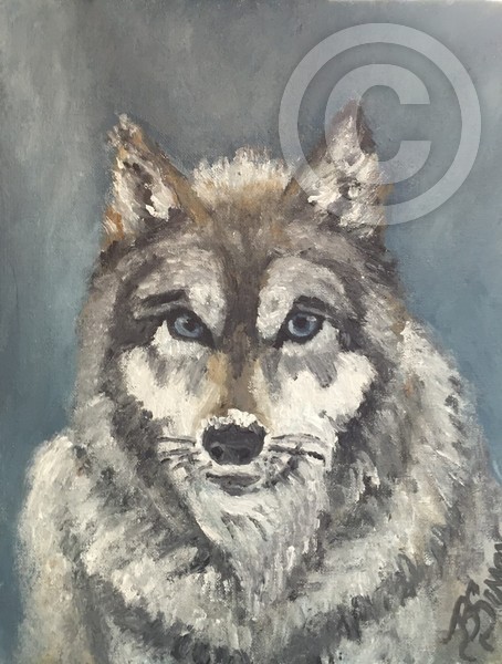 Wolf