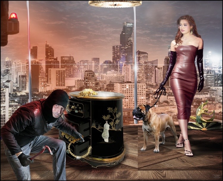 Jittirat Horst Pfrommer thief-Logo