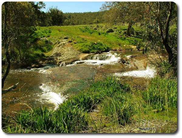 Slow River