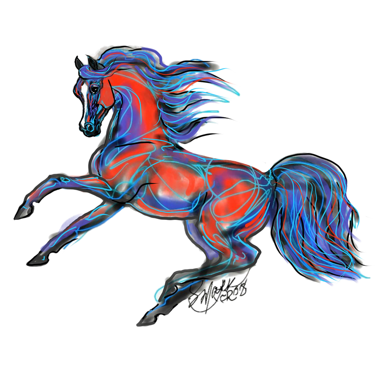 Bay Arabian Horse