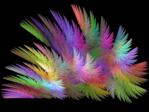 Feather Bouquet.
