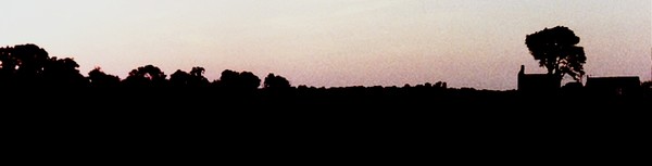 Across The Corn Field