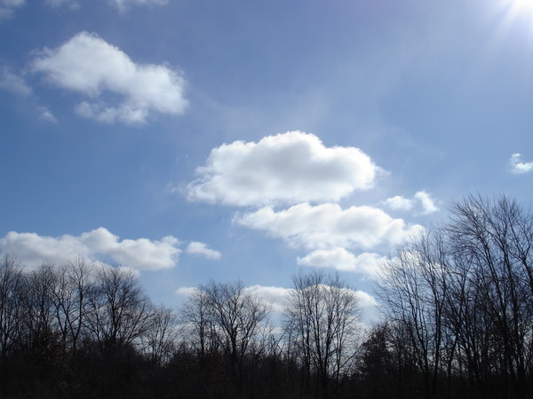 Bright and Sunny Day