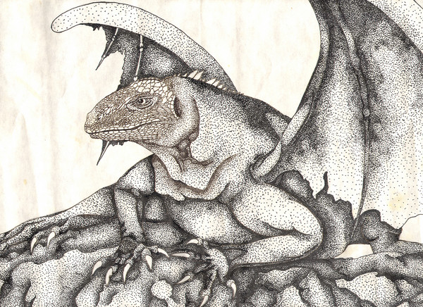 The Iguana