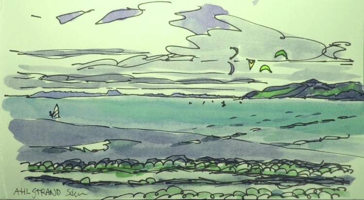 Kites