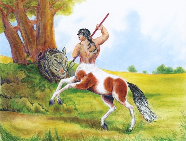 Pinto Centaur