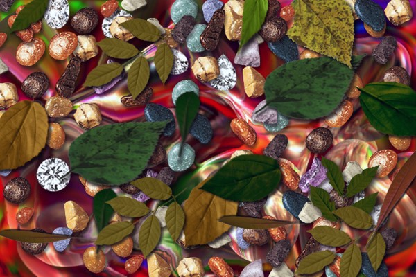 The Treasure of Nature