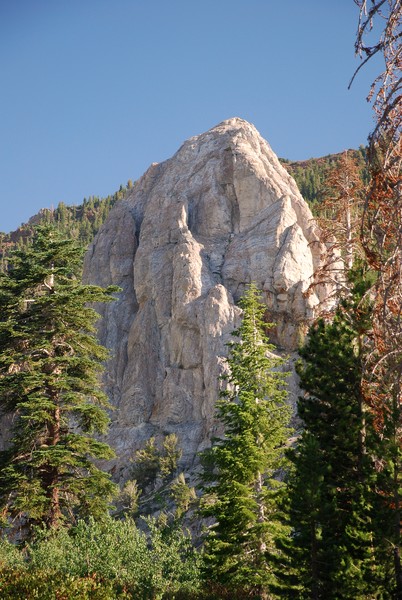 Mammoth Rock Close-up