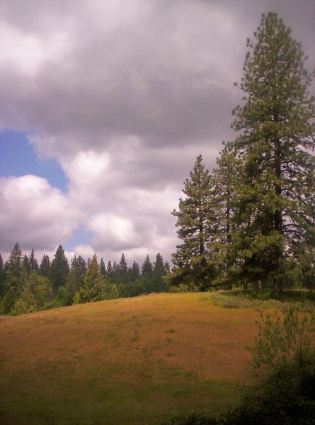 Grass Valley