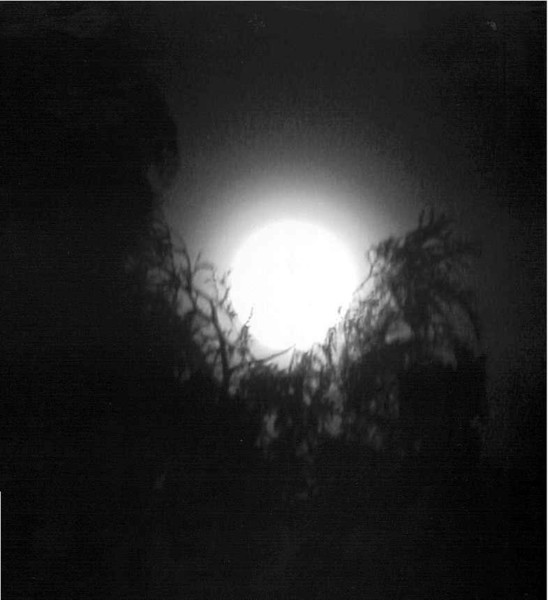 Man on the moon