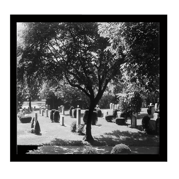 my cemetery photo