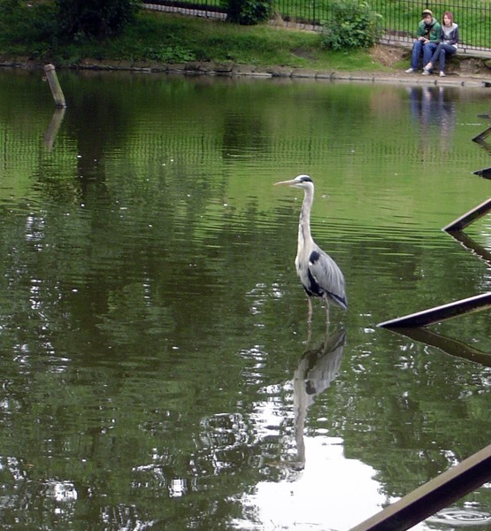 Reflected.