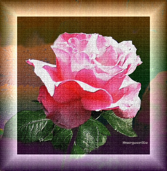 Beauty 