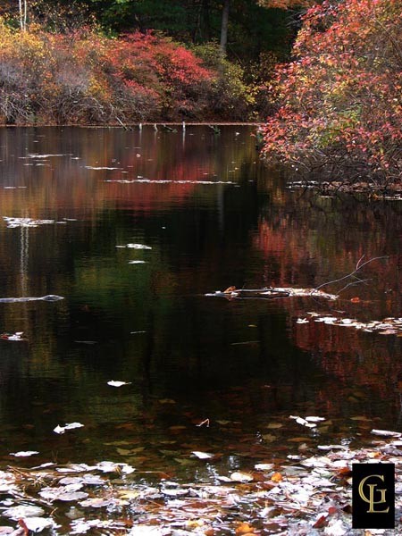 Walden Pond