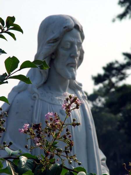 Bonaventure Cemetery, Savannah, GA