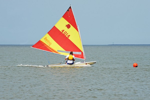 Sunfish
