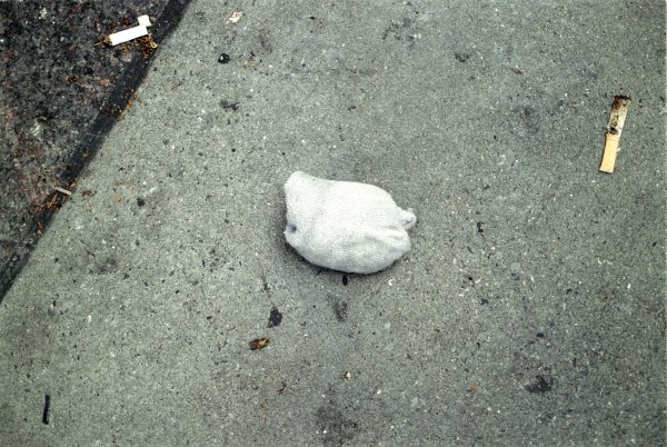 Dropped Sock