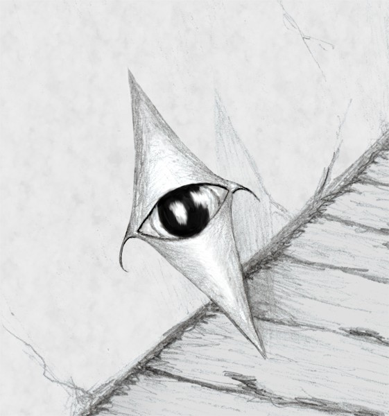 Watchful Eye